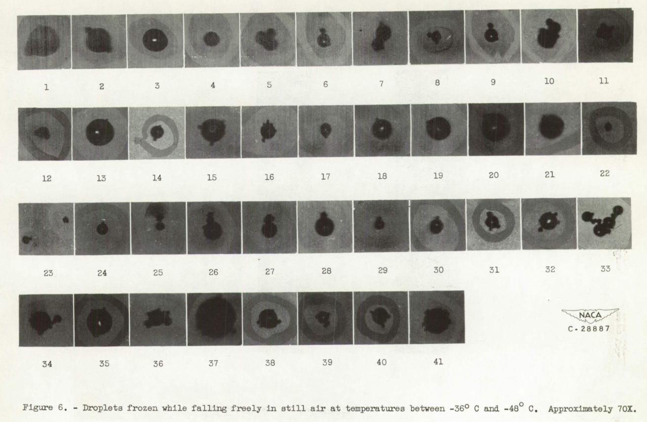 Figure 6 of NACA-RM-E51L17. Droplets frozen while falling freely in still air at temperatures between -36 C and - 40 C. Approximately 10x magnification.