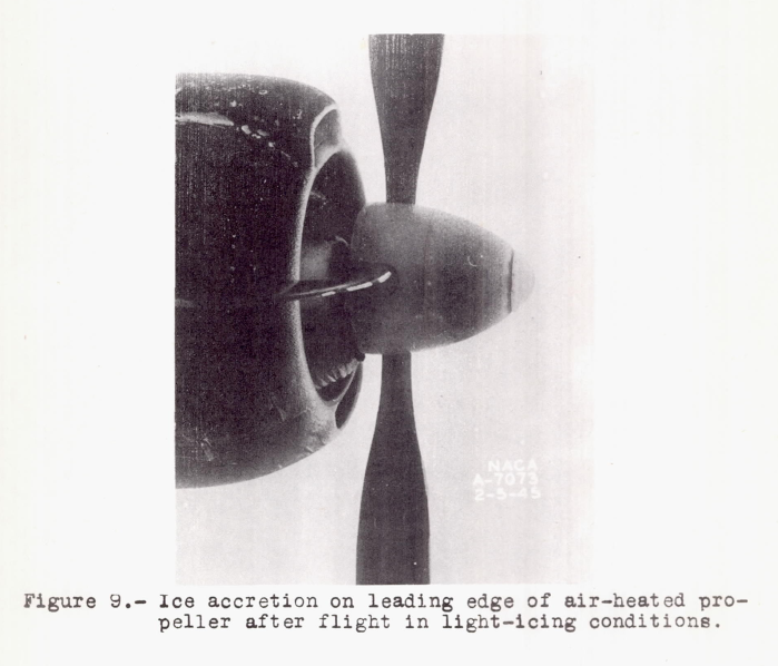 Figure 9. Ice accretion on leading edge of air-heated propeller after flight in light-icing conditions.